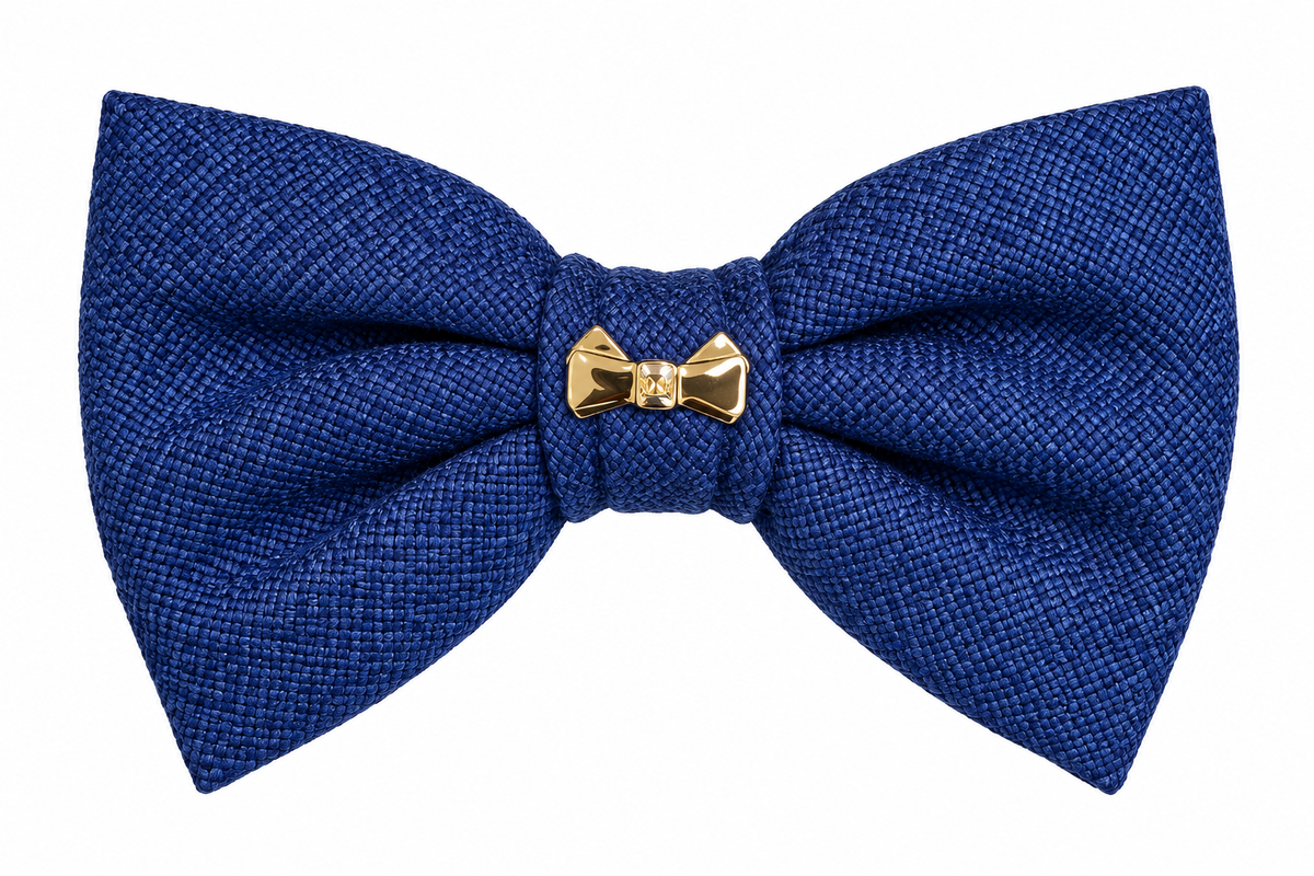 NINA RICCI barrette noeud vintage bleue