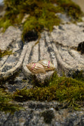 MONET Boucle dormeuse coquillage à strass
